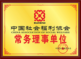 中国社会福利协会常务理事单位
